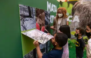 Exposição Natureza Viva