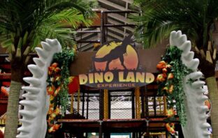 Dino Land Experince: Patio Brasil Shopping