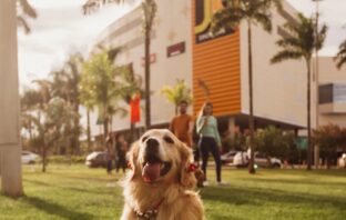 A Vila dos Pets: Programação com  o melhor do universo animal está de volta ao JK Shopping