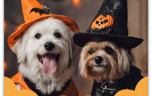 UM PARKPETS COM PEGADAS DE HALLOWEEN