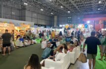 Feira da gestante