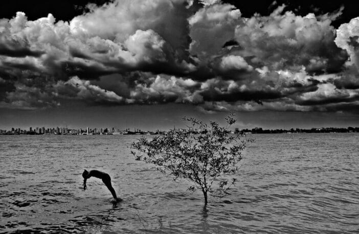 Evna Moura Sem titulo no I. Da serie Afeto Organico Regiao Metropolitana de Belem CCBB