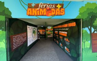 Zoológico de Brasília - férias animadas
