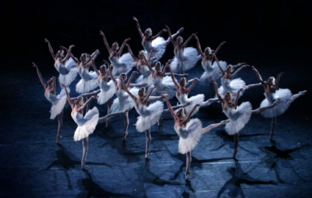 Moscow City Ballet - O Lago dos Cisnes